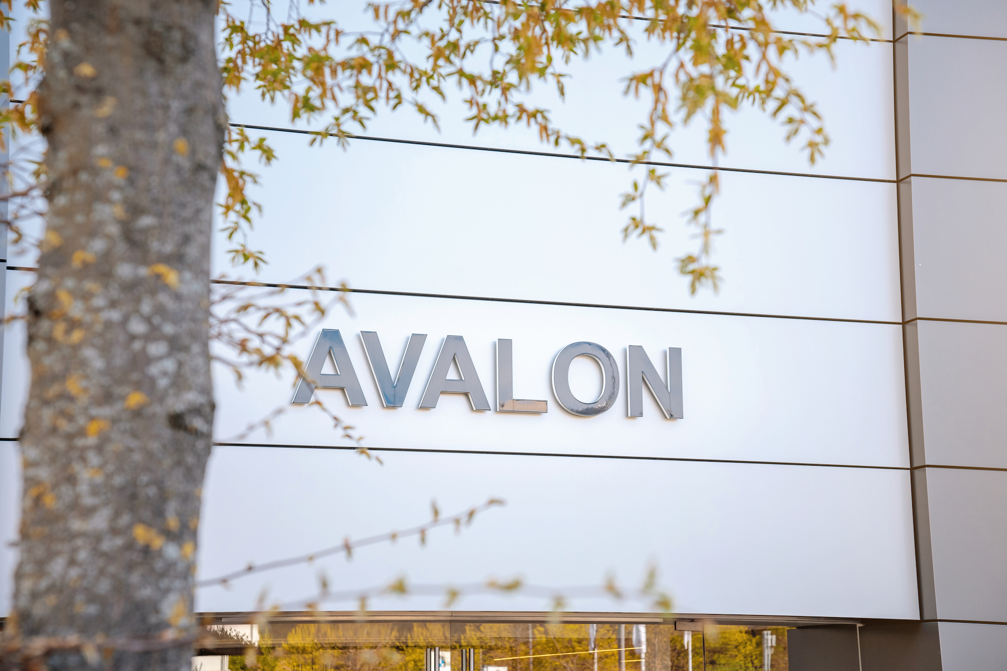 Emil Frey Avalon Premium Cars München | Lieblingsladen | Mr. München | Foto: Emil Frey Avalon Premium Cars München